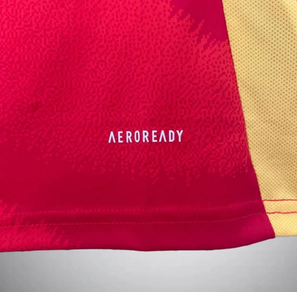 2024 Spain Home Kit